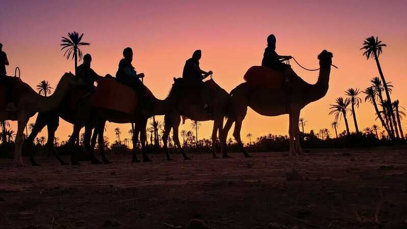 Excursions culturelles et aventures dans le désert de Tozeur
