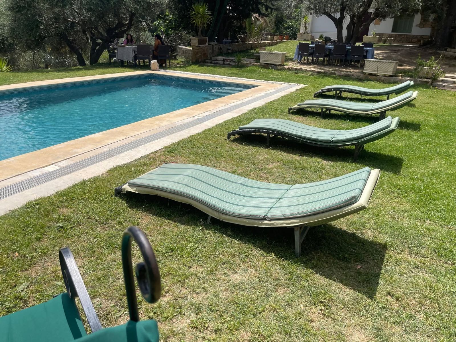 Le Grand Vert