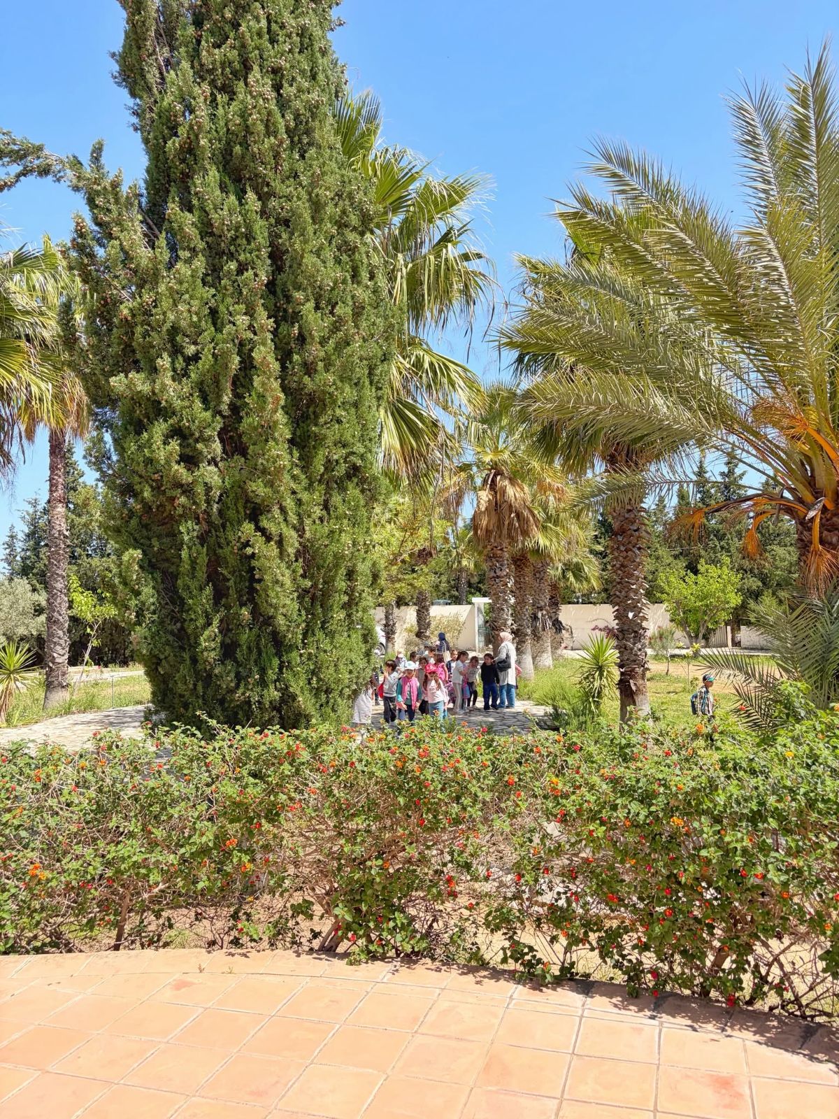 Firmetna