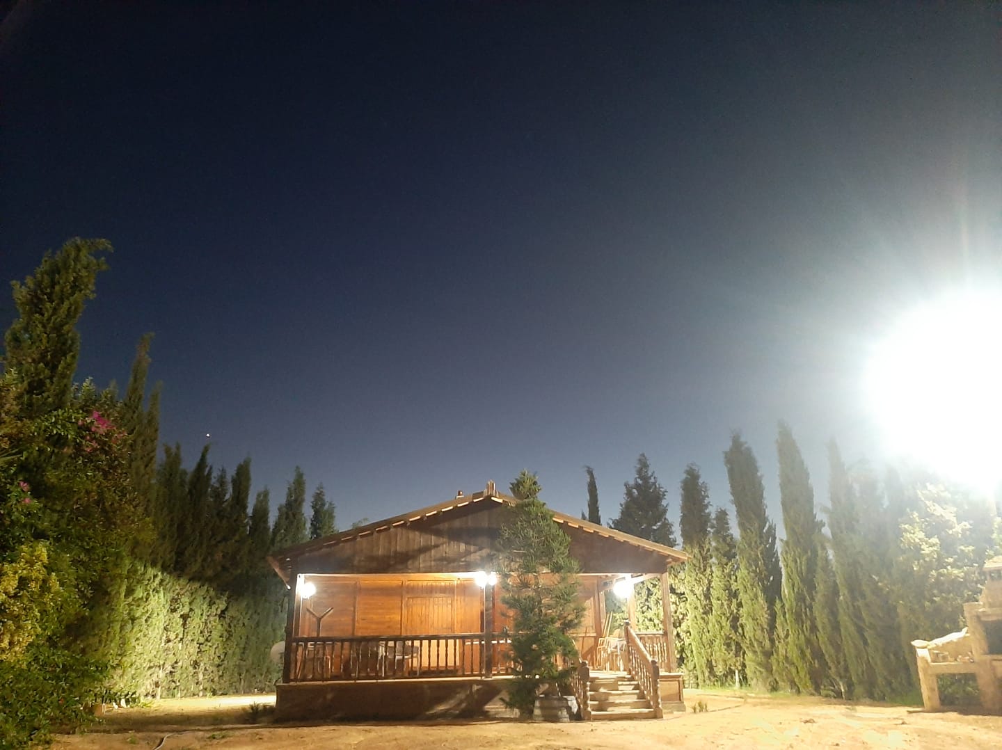 Biopalma