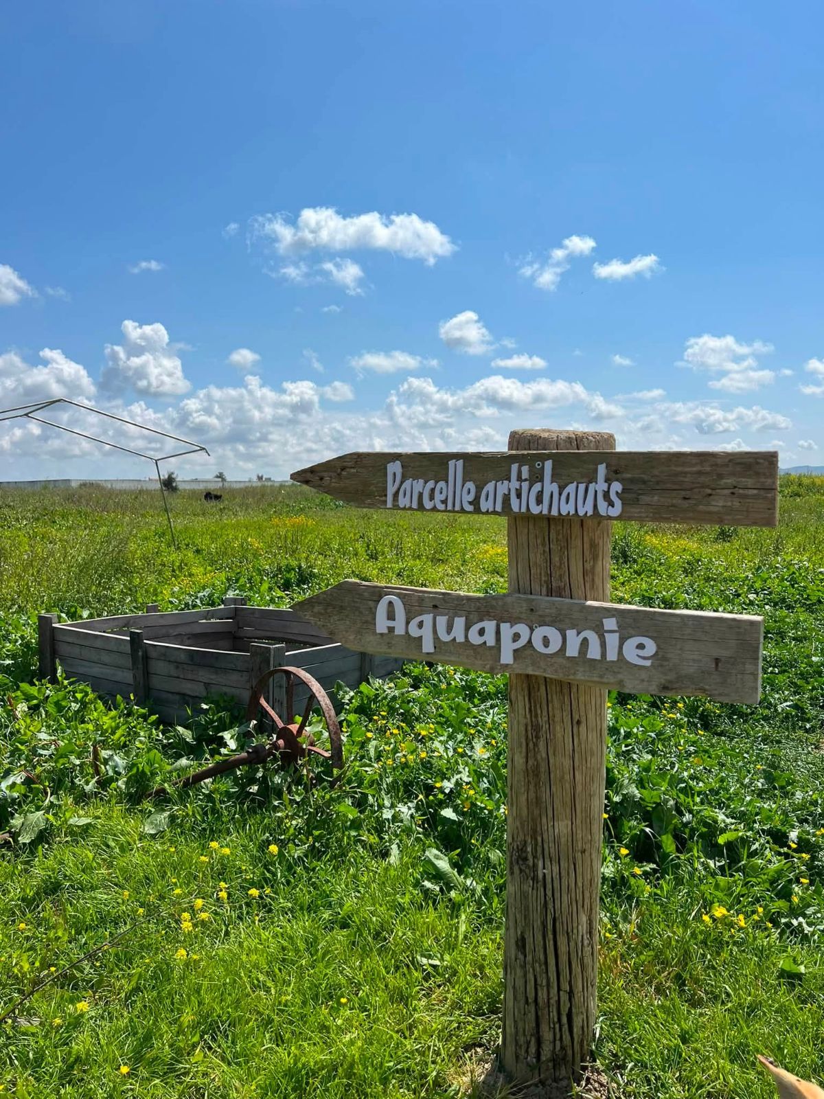 Trésors d'Utique